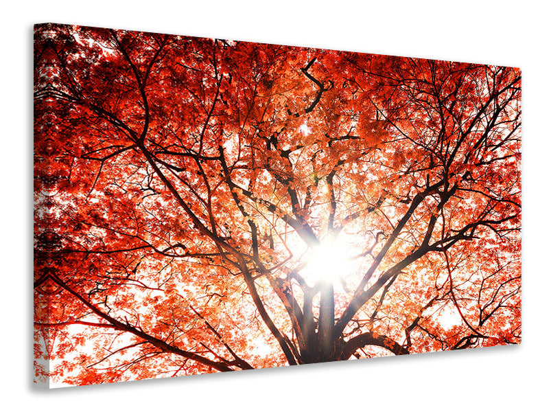 3-piece-canvas-print-light-of-autumn