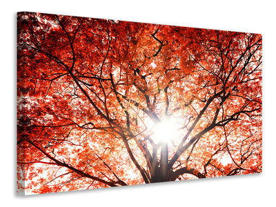 3-piece-canvas-print-light-of-autumn