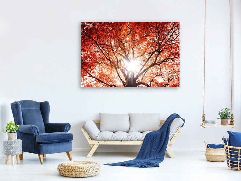 3-piece-canvas-print-light-of-autumn