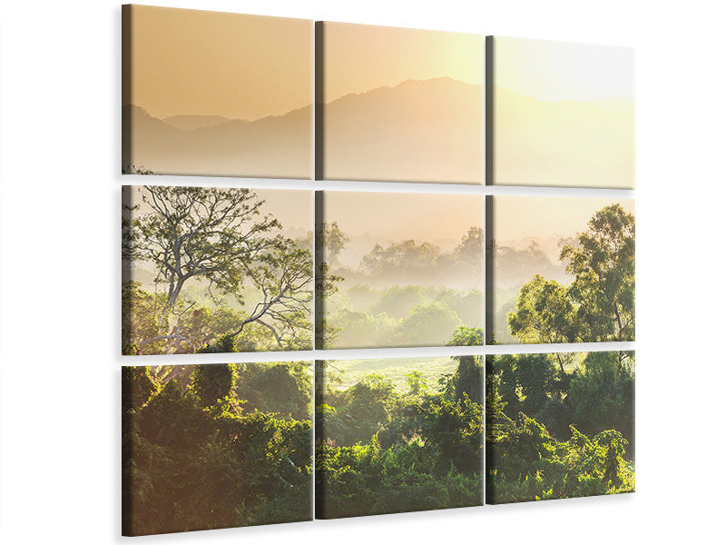 4-piece-canvas-print-light-show-in-forest