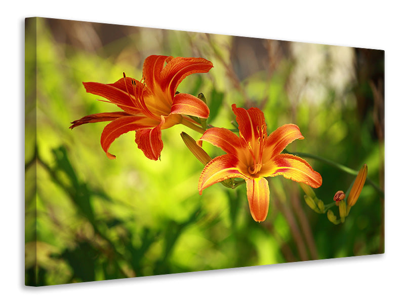 modern-4-piece-canvas-print-lilies-in-nature