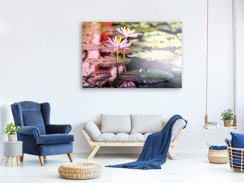 5-piece-canvas-print-lilies-in-pond