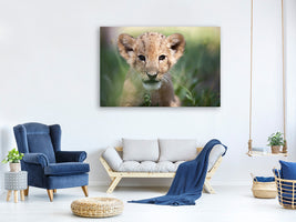 modern-4-piece-canvas-print-lion-baby