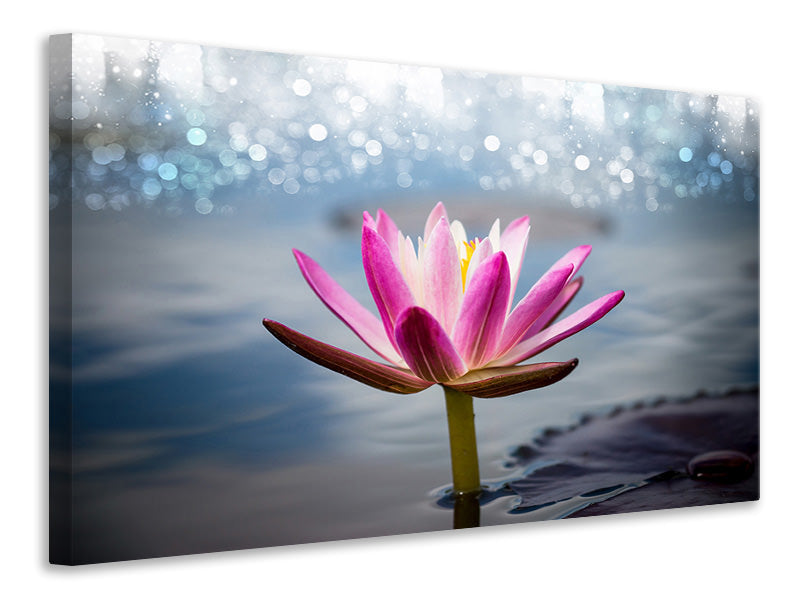 panoramic-canvas-print-lotus-in-the-morning-dew