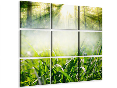 4-piece-canvas-print-magic-forest