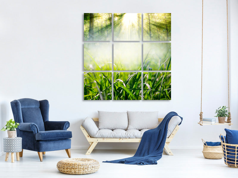 canvas-print-magic-forest