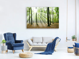 4-piece-canvas-print-magic-light-in-the-trees