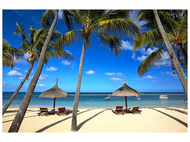 modern-4-piece-canvas-print-mauritius