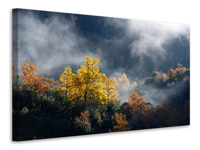 3-piece-canvas-print-moonlight-forest