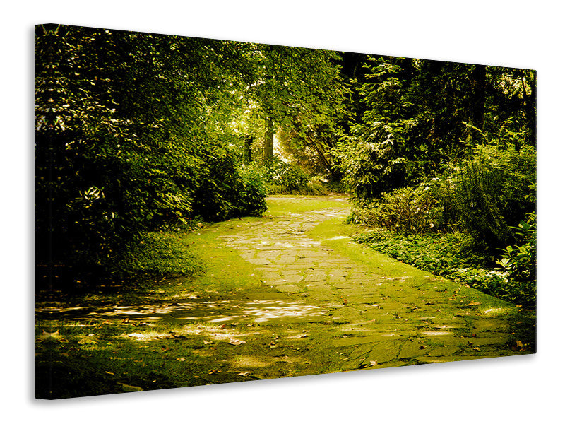 modern-4-piece-canvas-print-moss-covered-path