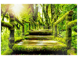 modern-4-piece-canvas-print-moss