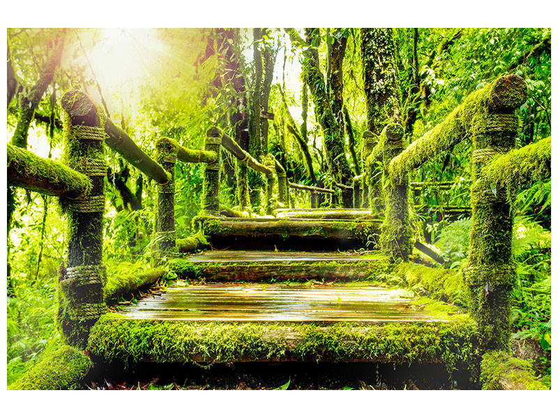 modern-4-piece-canvas-print-moss