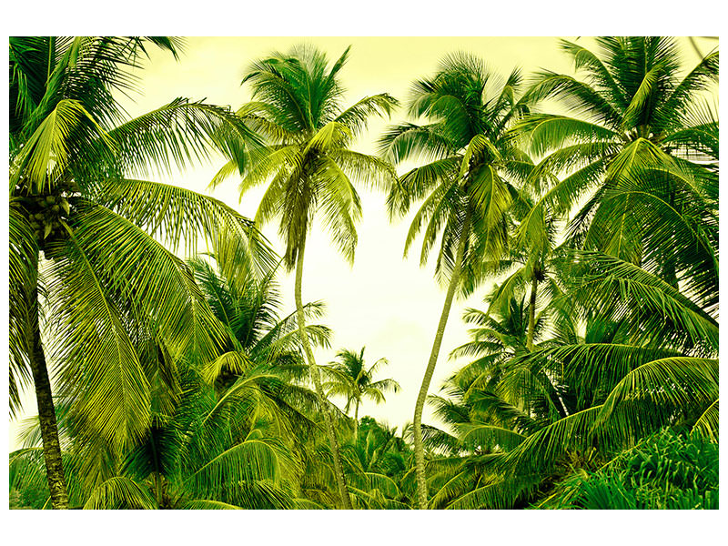 modern-4-piece-canvas-print-mural-ready-for-a-vacation