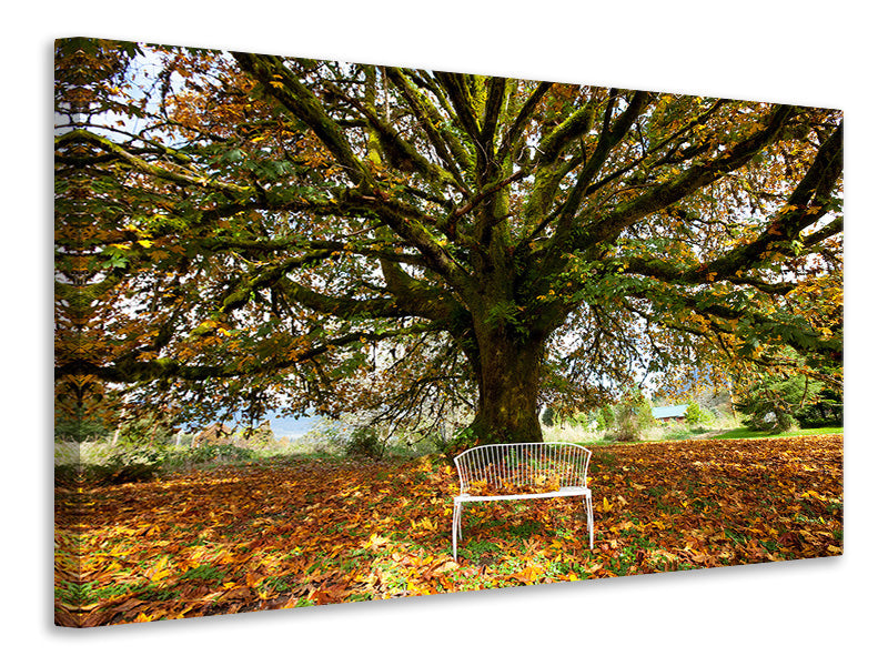 5-piece-canvas-print-my-favorite-tree