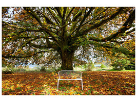 4-piece-canvas-print-my-favorite-tree