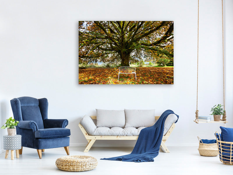 modern-4-piece-canvas-print-my-favorite-tree
