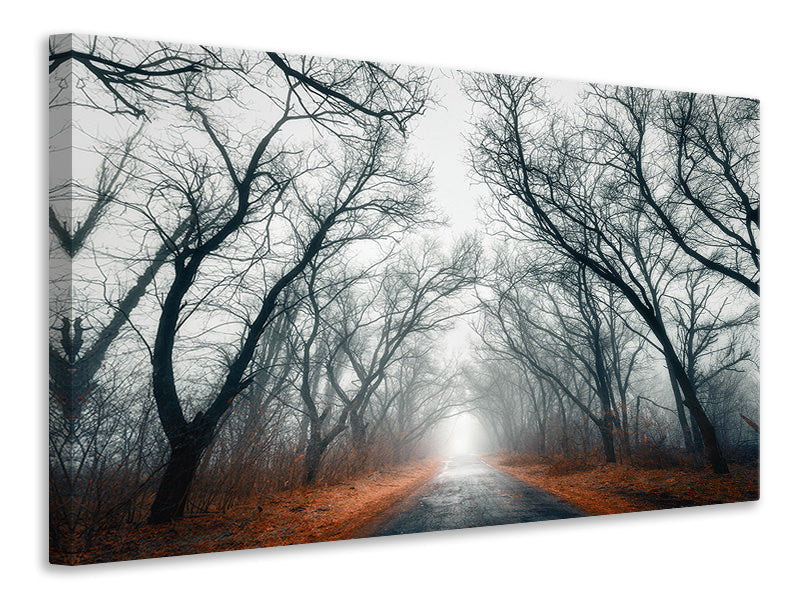 modern-4-piece-canvas-print-mysterious-mood-in-the-forest