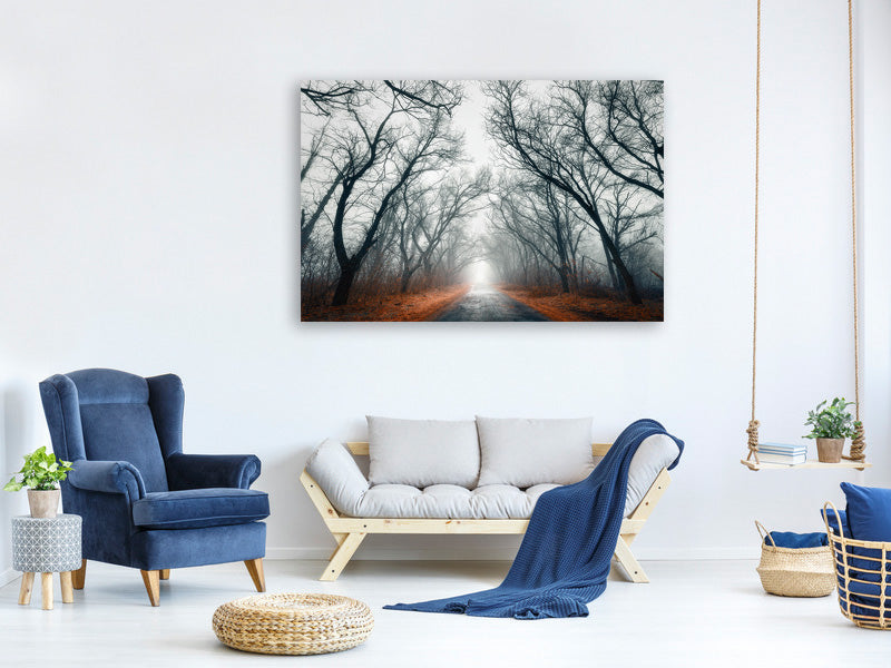 4-piece-canvas-print-mysterious-mood-in-the-forest