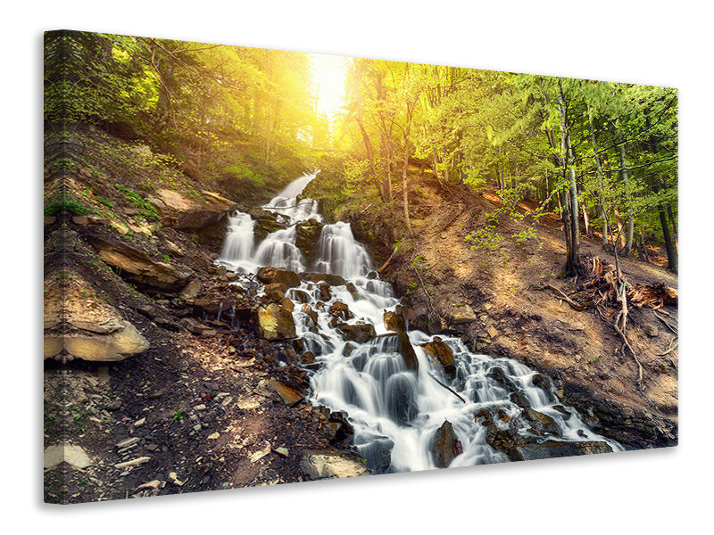 5-piece-canvas-print-natural-beauty