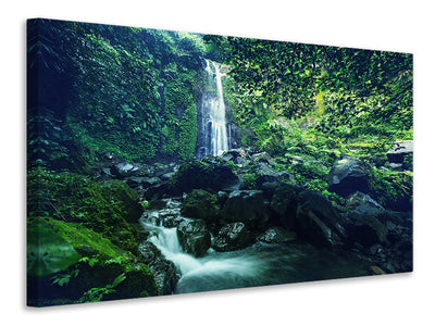 panoramic-canvas-print-nature