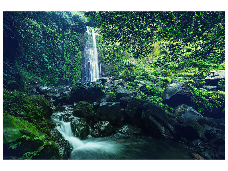 panoramic-canvas-print-nature