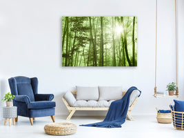 modern-4-piece-canvas-print-nibelungen-forest
