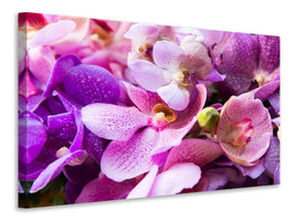 5-piece-canvas-print-orchid-paradise