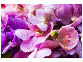 panoramic-canvas-print-orchid-paradise