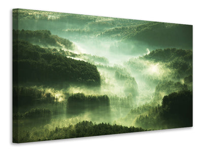modern-4-piece-canvas-print-over-the-woods