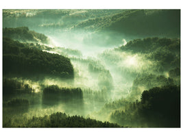 4-piece-canvas-print-over-the-woods