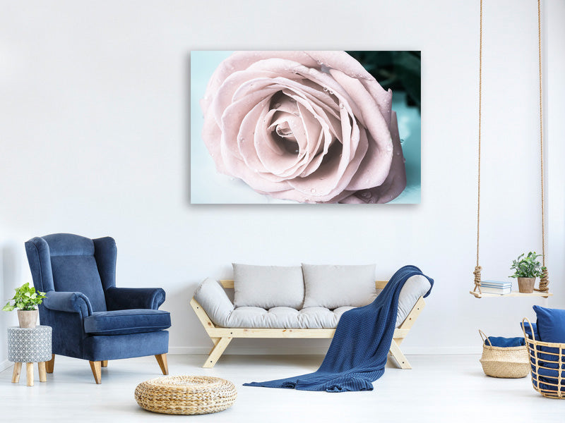 3-piece-canvas-print-pastel-rose