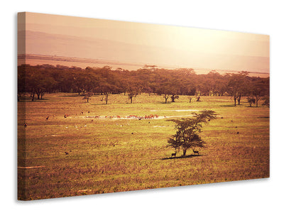 modern-3-piece-canvas-print-picturesque-africa