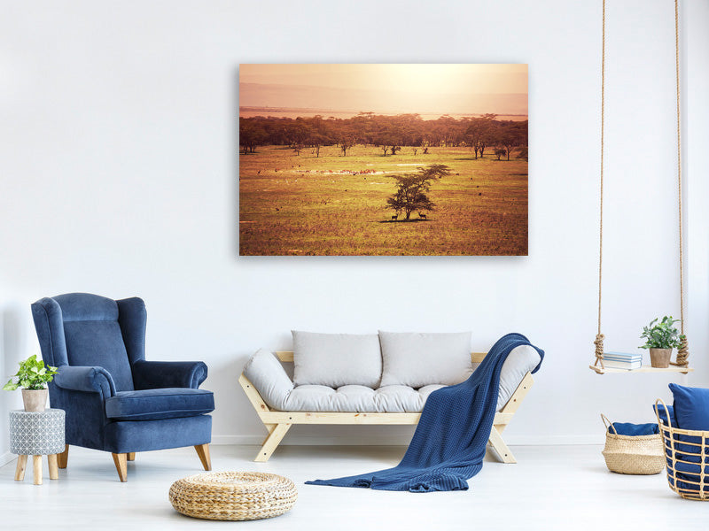 4-piece-canvas-print-picturesque-africa