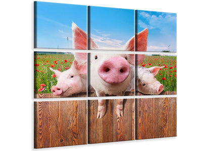 4-piece-canvas-print-pig-in-luck