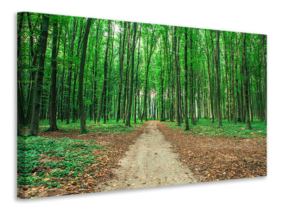panoramic-3-piece-canvas-print-pine-forests