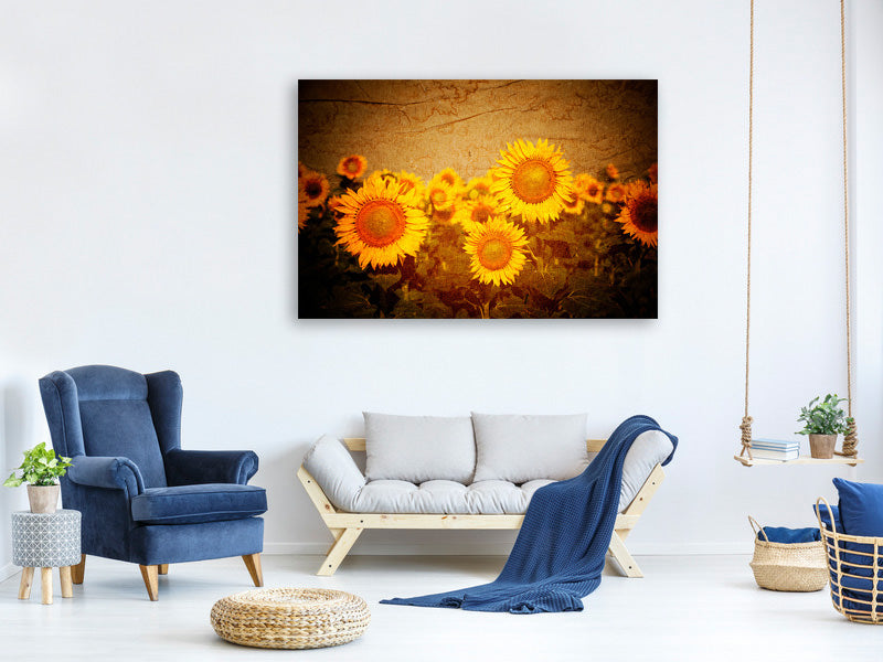 4-piece-canvas-print-retro-sunflower