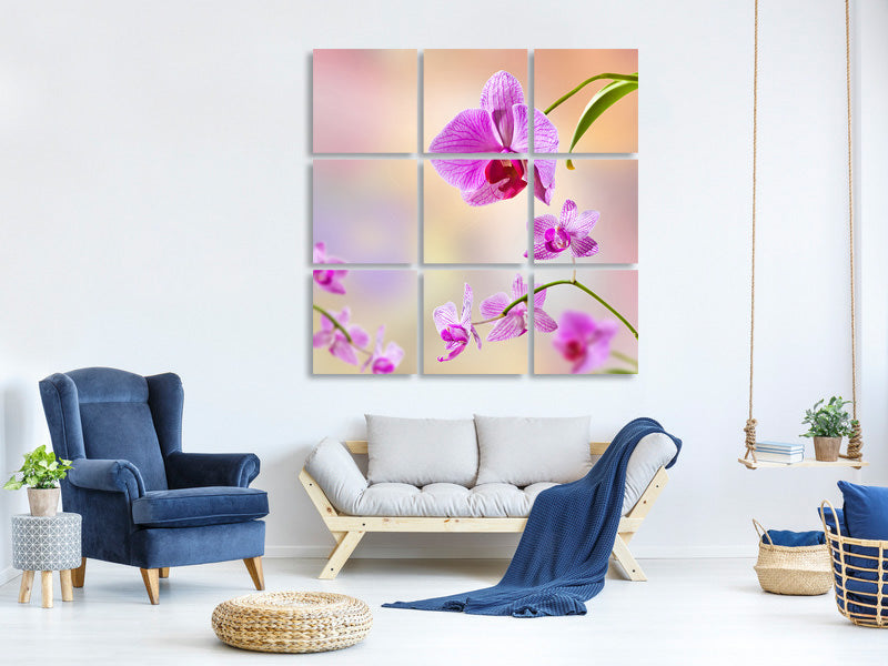 canvas-print-romantic-orchids