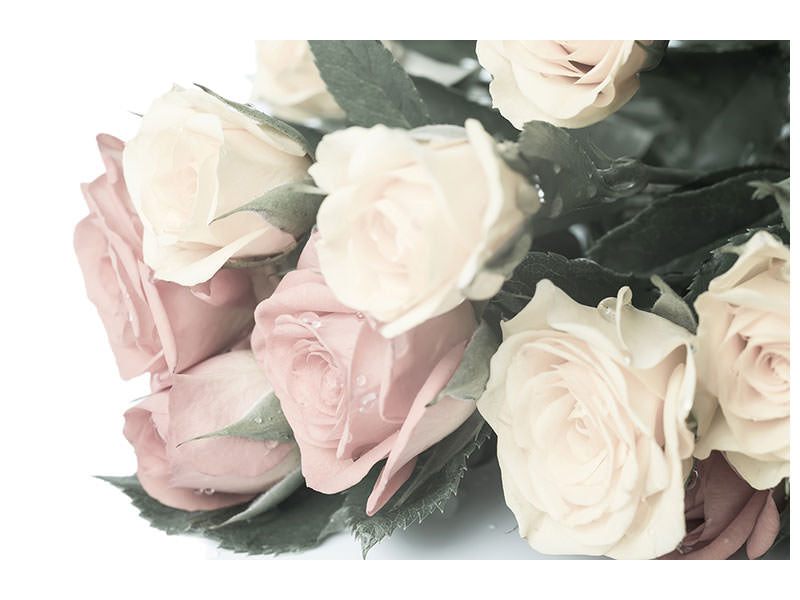 4-piece-canvas-print-romantic-rose