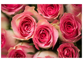 5-piece-canvas-print-rose-love
