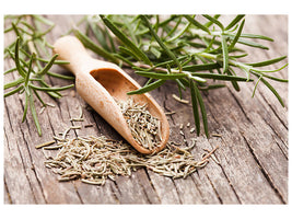 panoramic-canvas-print-rosemary