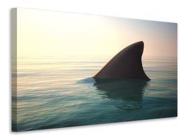 modern-4-piece-canvas-print-shark-fin