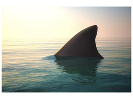 4-piece-canvas-print-shark-fin