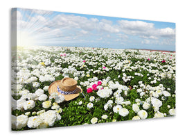 5-piece-canvas-print-spring-flower-meadow