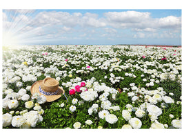 modern-4-piece-canvas-print-spring-flower-meadow