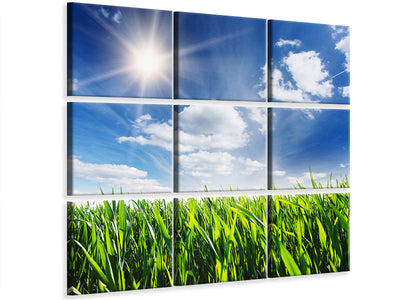 canvas-print-spring-grass