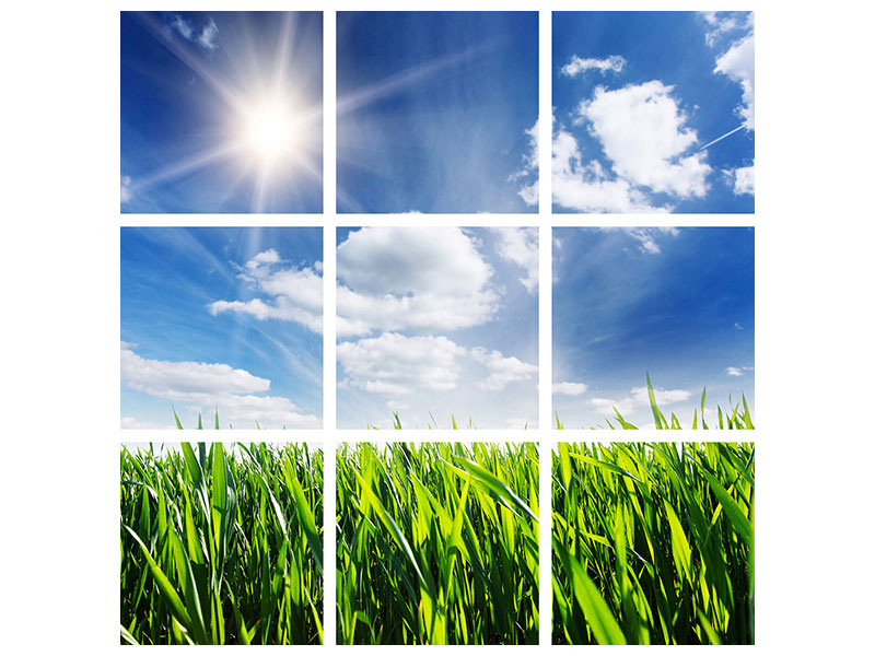 canvas-print-spring-grass