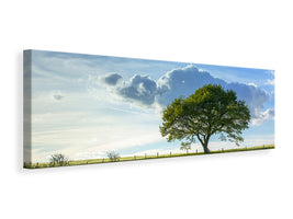 panoramic-3-piece-canvas-print-spring-tree