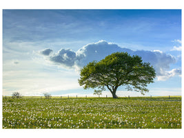 4-piece-canvas-print-spring-tree