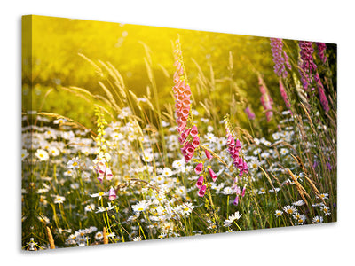 3-piece-canvas-print-summer-flower-meadow