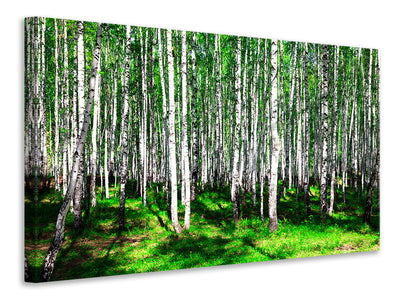 4-piece-canvas-print-summerly-birch-forest